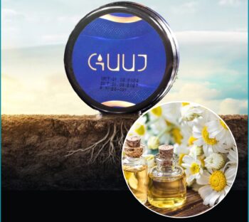 Papatya yağının faydaları nelerdir?